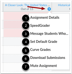 Screenshot of the different assignment options in the CarmenCanvas gradebook.