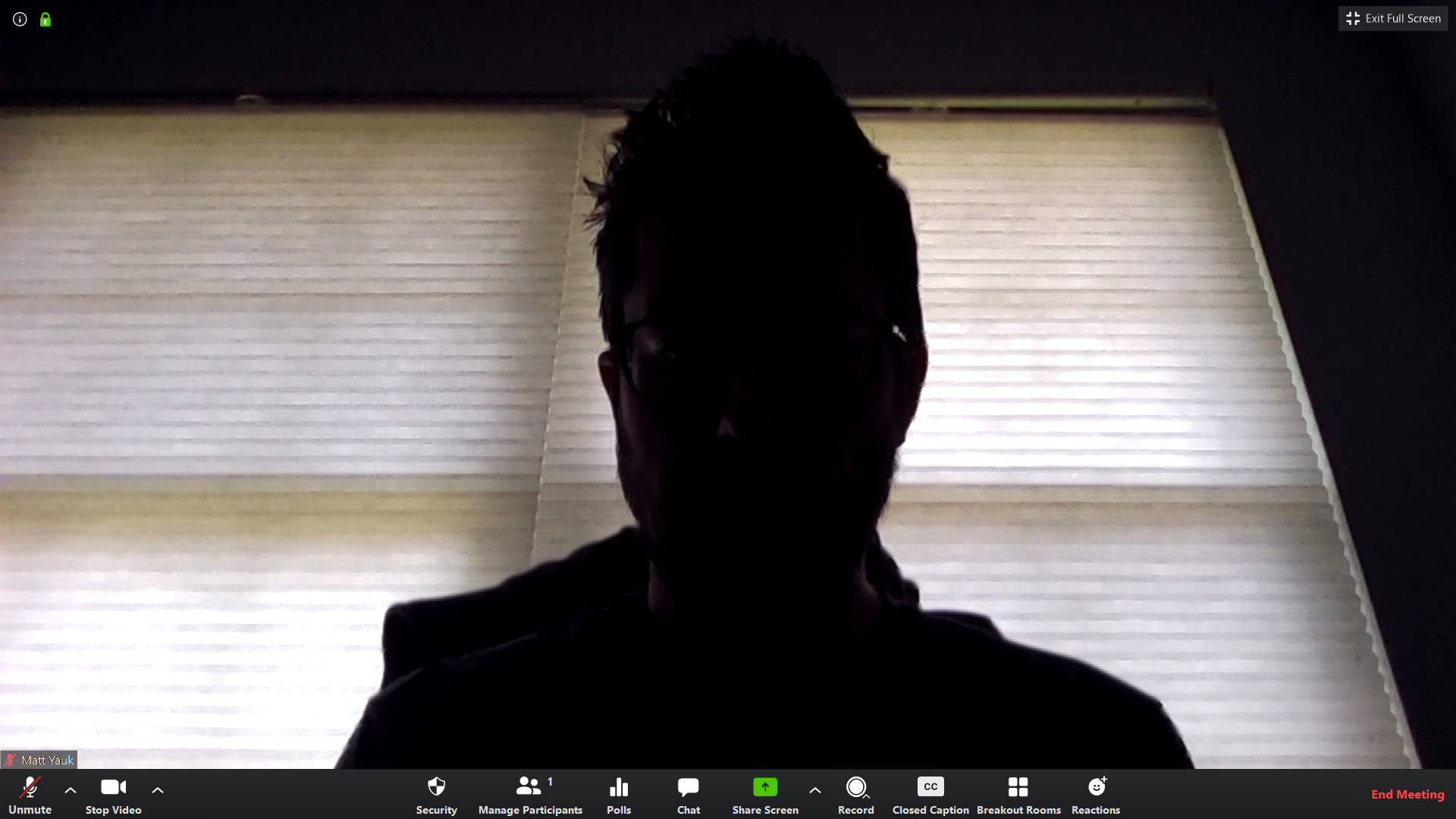 image of a person in a video conference with terrible lighting where their face so dark you can't see it